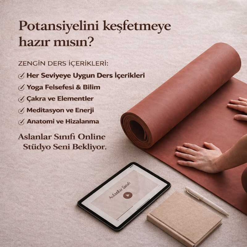 Aslanlar Online Yoga Sınıfı