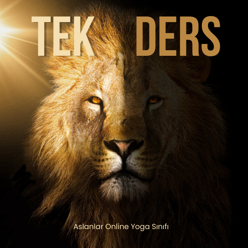Tek Ders Katılım